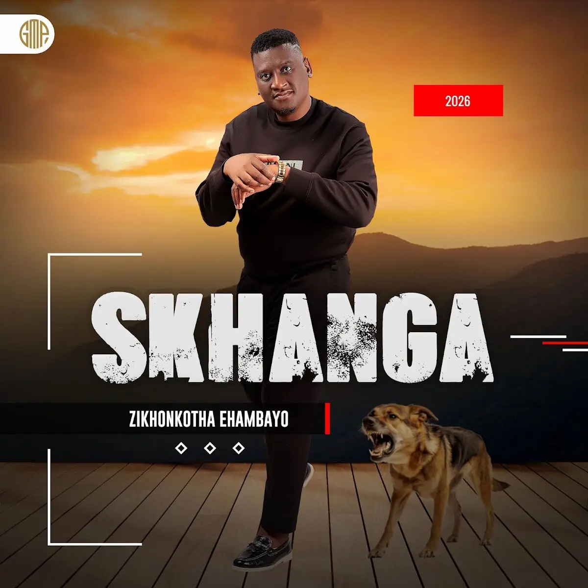 Zikhonkotha ehambayo